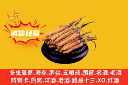 安阳市回收冬虫夏草